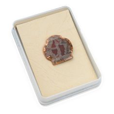 East German NVA Merit Badge