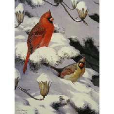 Winter Cardinals Print