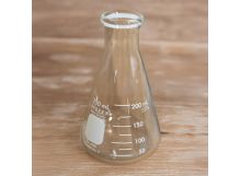  U.S. G.I. Pyrex 250mL Erlenmeyer Flask, 2 Pack