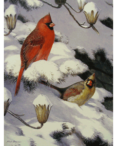Winter Cardinals Print