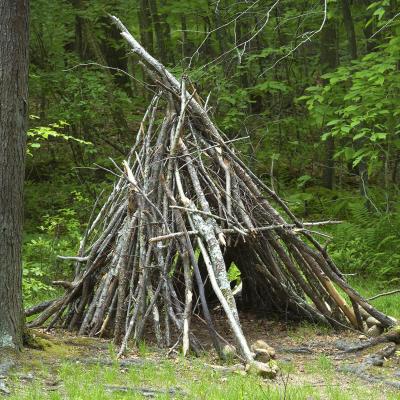 Supplies You Need to Build Primitive Survival Shelter