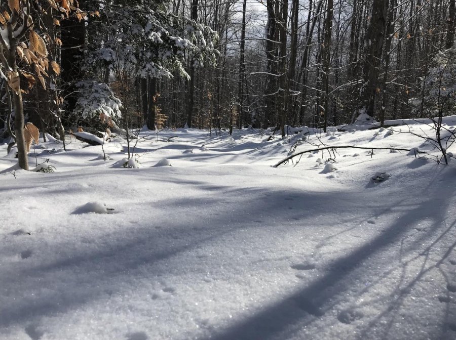 Wilderness Winter Backpacking