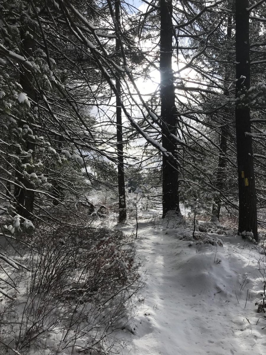 Wilderness Winter Backpacking